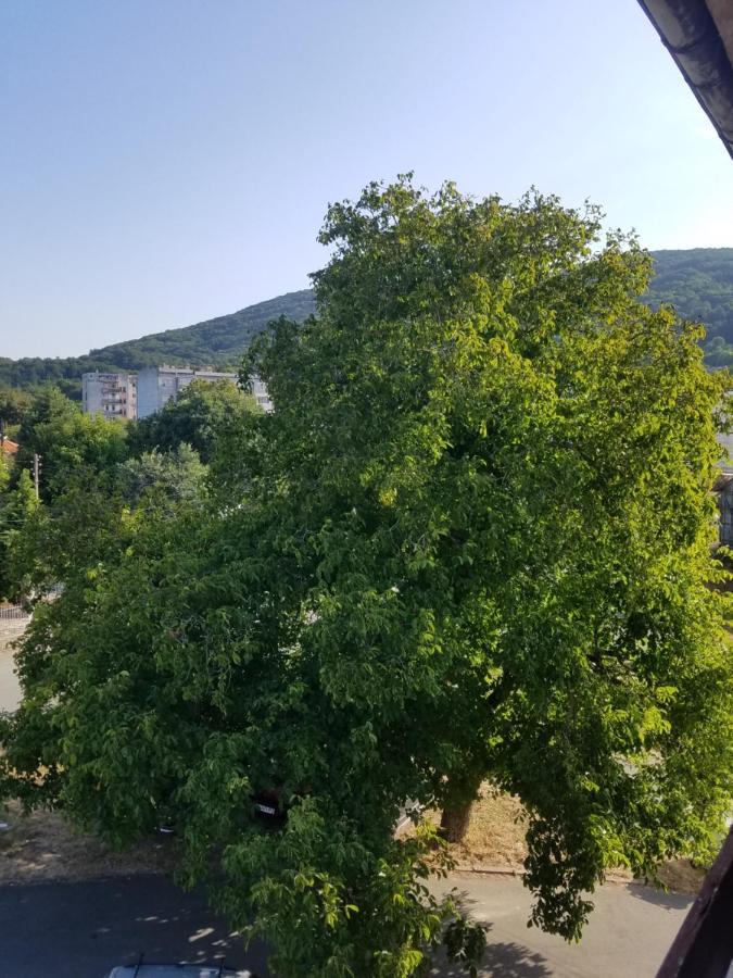 Retro Apartment Malko Tŭrnovo Eksteriør bilde